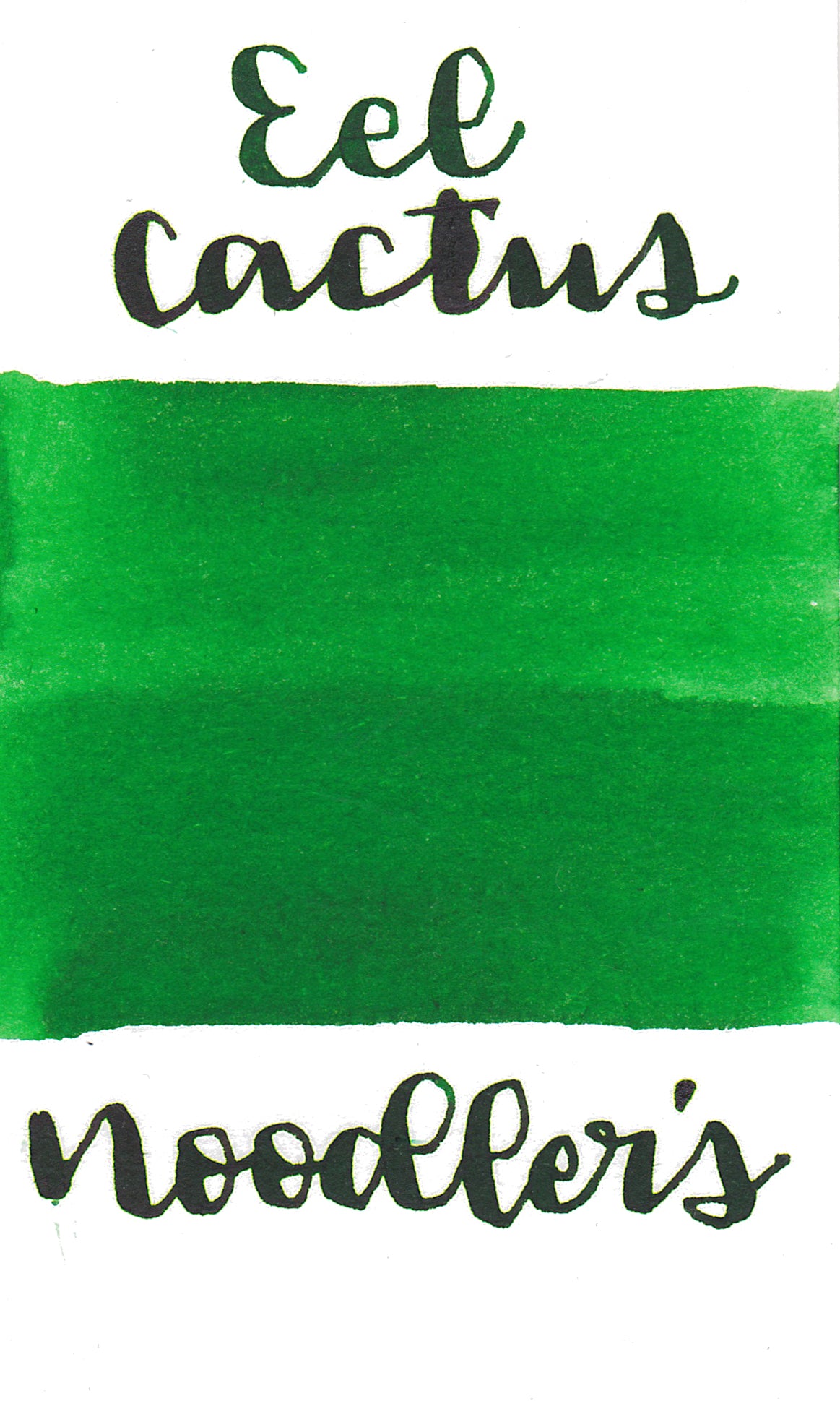 Noodler's Eel Gruene Cactus