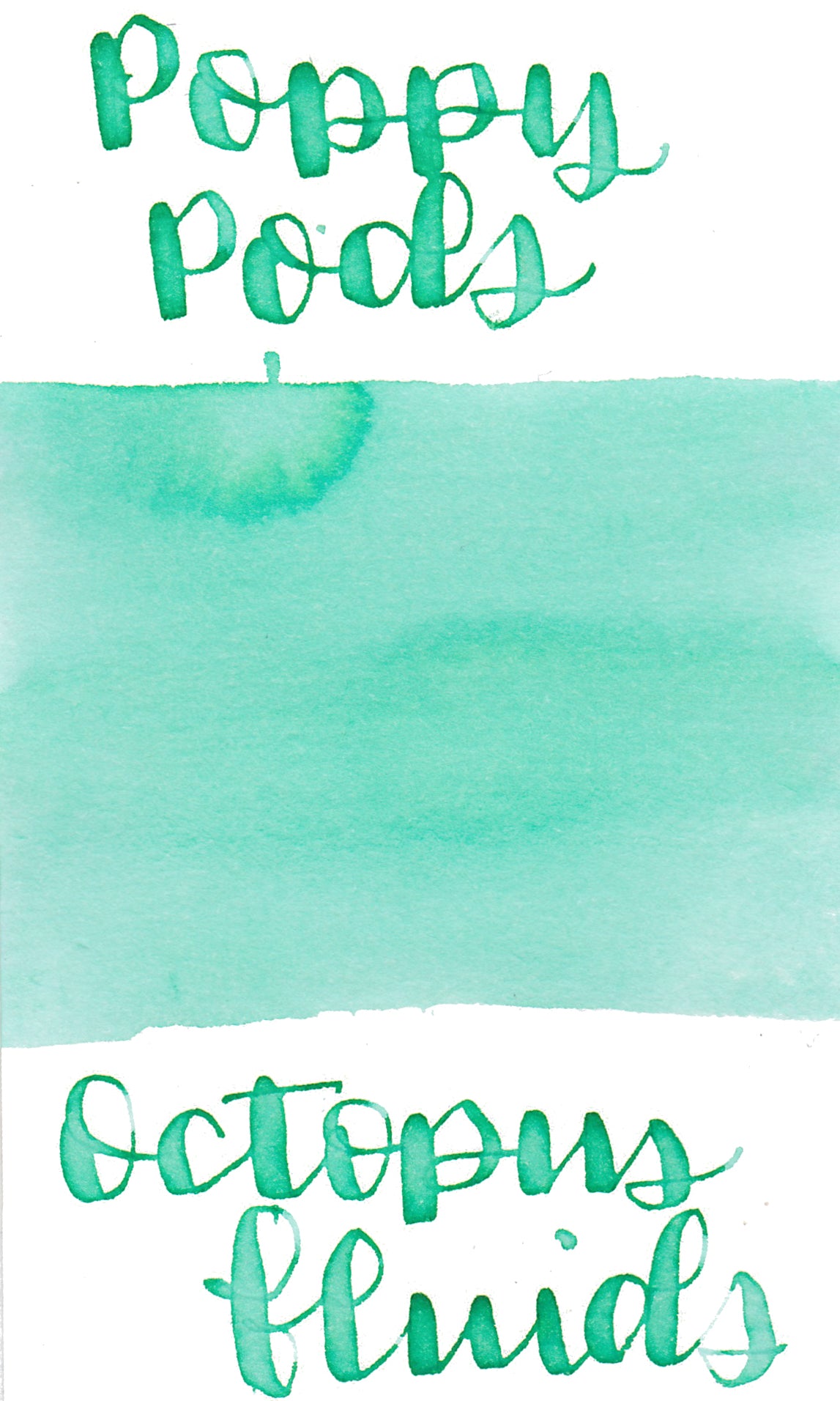 Octopus Poppy Pods Ink