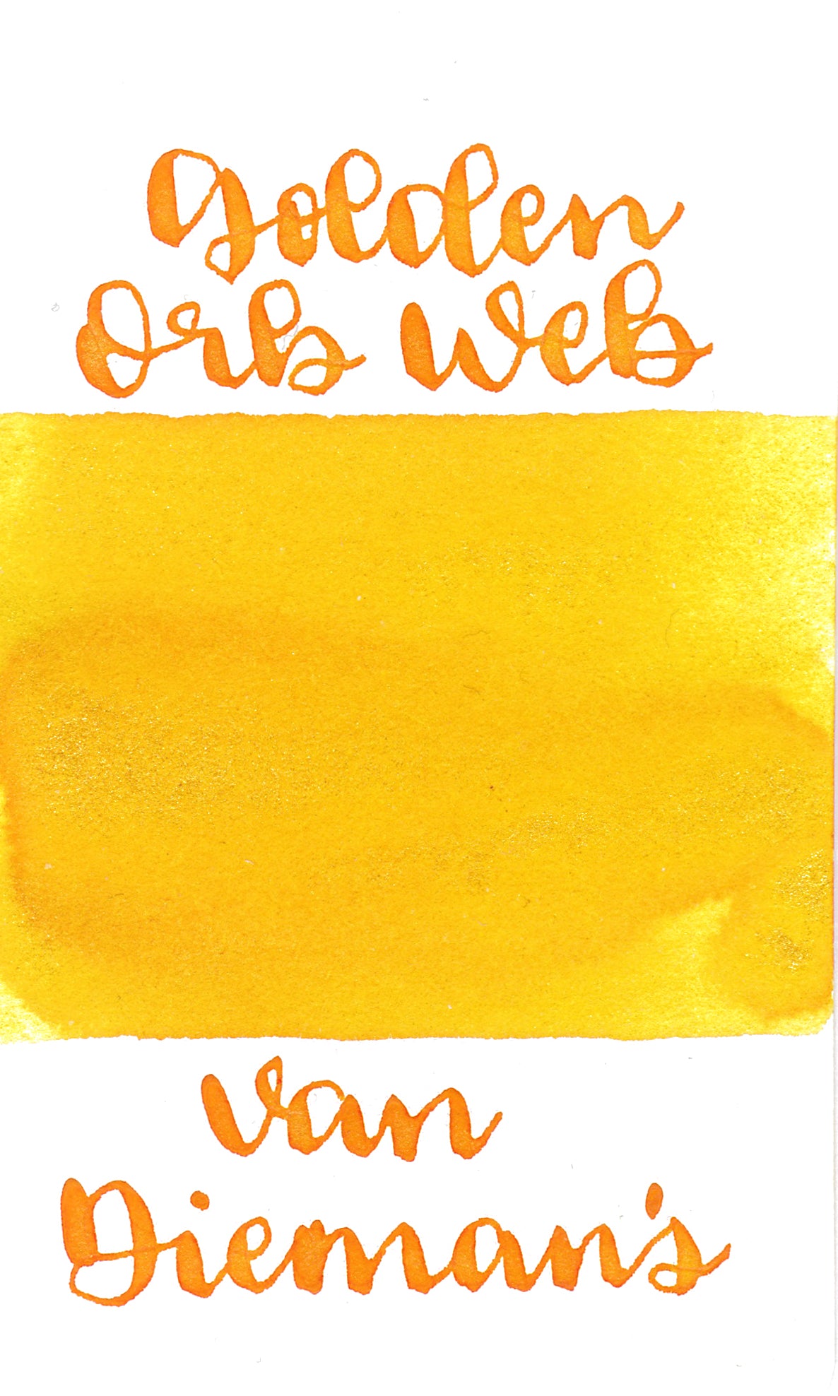 Van Dieman's Night Series- Golden Orb Web Shimmer
