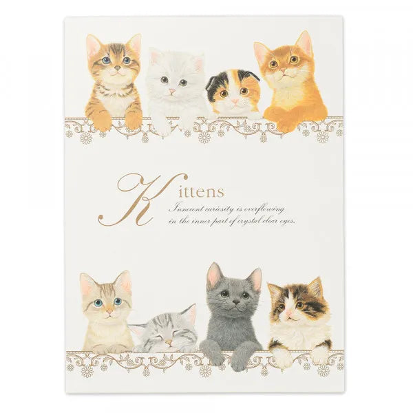 NB.CO - Kittens Letter Pad - A5