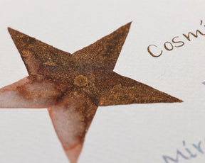Octopus Celestial Shimmer Cosmic Ore