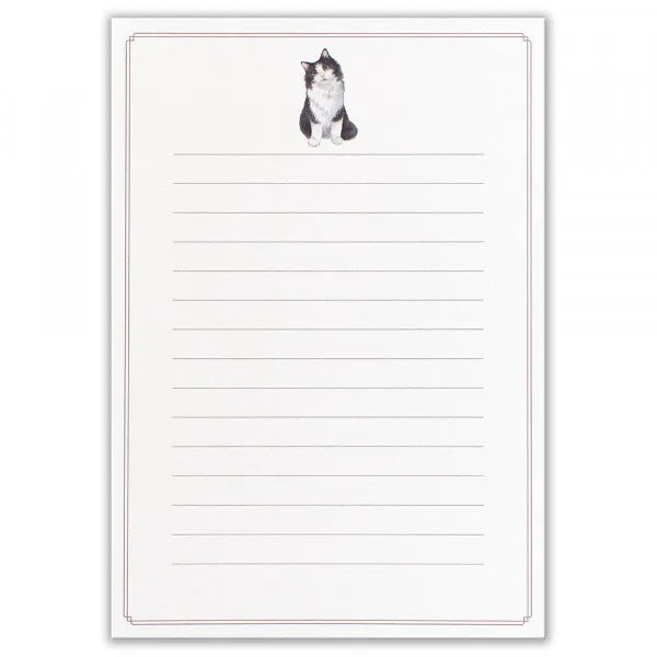 NB.CO - Letter Set - Minou Paul Norwegian Forest Cat