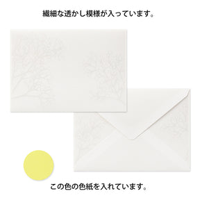Midori Envelopes - Watermarks Baby's Breath