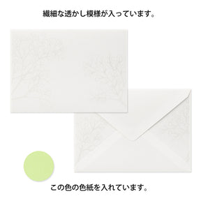 Midori Envelopes - Watermarks Baby's Breath