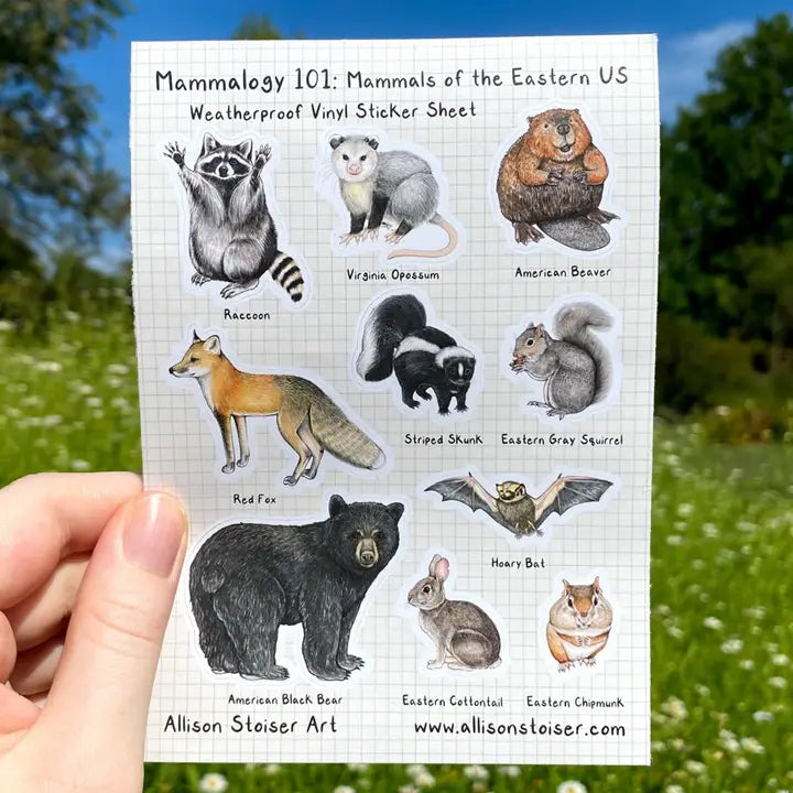 Allison Stoiser Art - Stickers - Mammalogy 101: Mammals of the Eastern US
