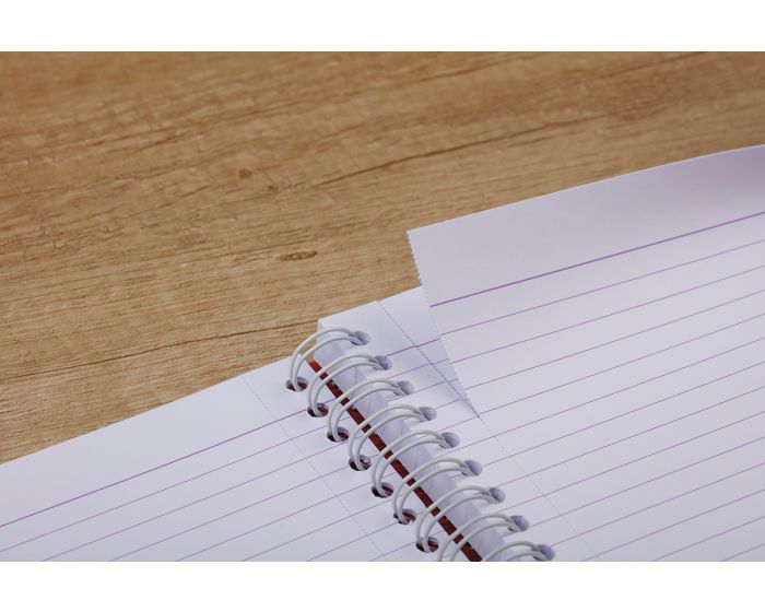 Clairefontaine Linicolor - Wirebound Revision Cards
