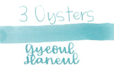3 Oysters Ink - I.COLOR.U Gyeoul Haneul