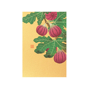 Midori - Postcard Autumn Series S4