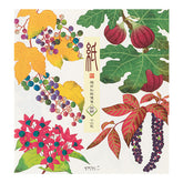 Midori Letter Pad - Four Designs Autumn Fruits 033