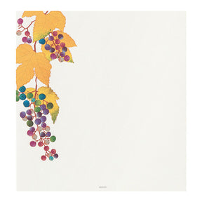 Midori Letter Pad - Four Designs Autumn Fruits 033