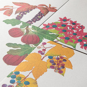 Midori Letter Pad - Four Designs Autumn Fruits 033