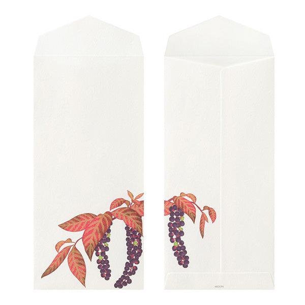 Midori Envelopes - Four Designs Autumn Fruits 034