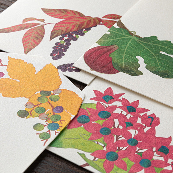 Midori Envelopes - Four Designs Autumn Fruits 034