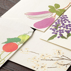 Midori Envelopes 110 Four Designs Autumn Berries S2