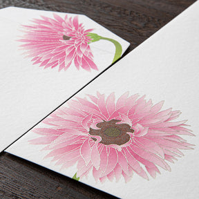 Midori Envelopes - Silk Printing Gerbera 164