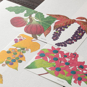 Midori Message Pad - Four Designs Autumn Fruit 609