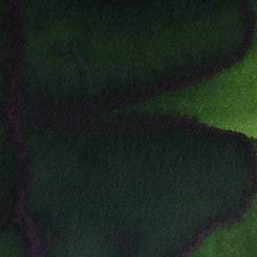 Pennonia Fenyves Boreal Forest