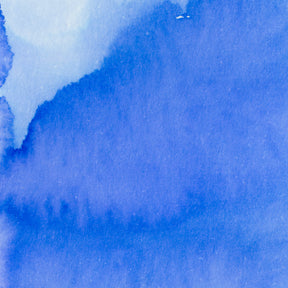 Pennonia Hajnal Dawn