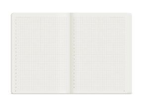 Wonderland222 Notebook B6 Grid 368 Page - Fiddlehead