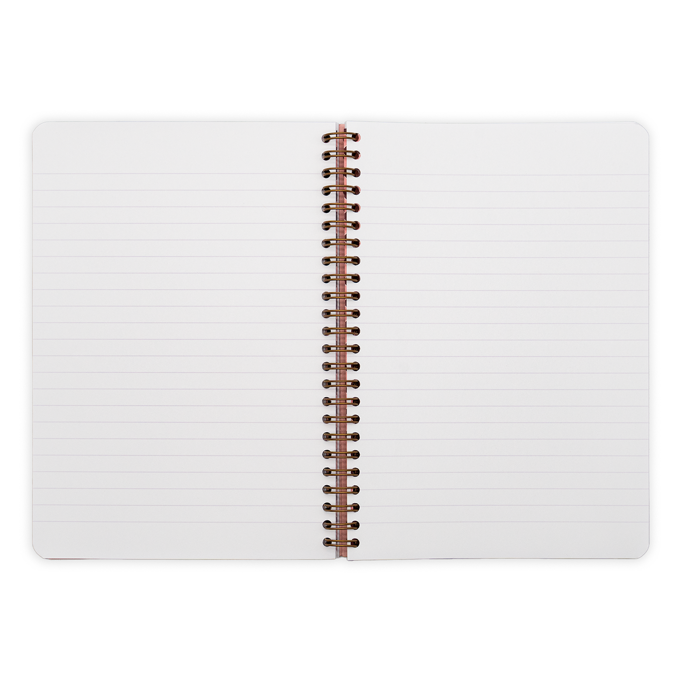 Clairefontaine Break The Rules Collection - A5 Wirebound Notebook (60 Sheets) 4 assorted designs