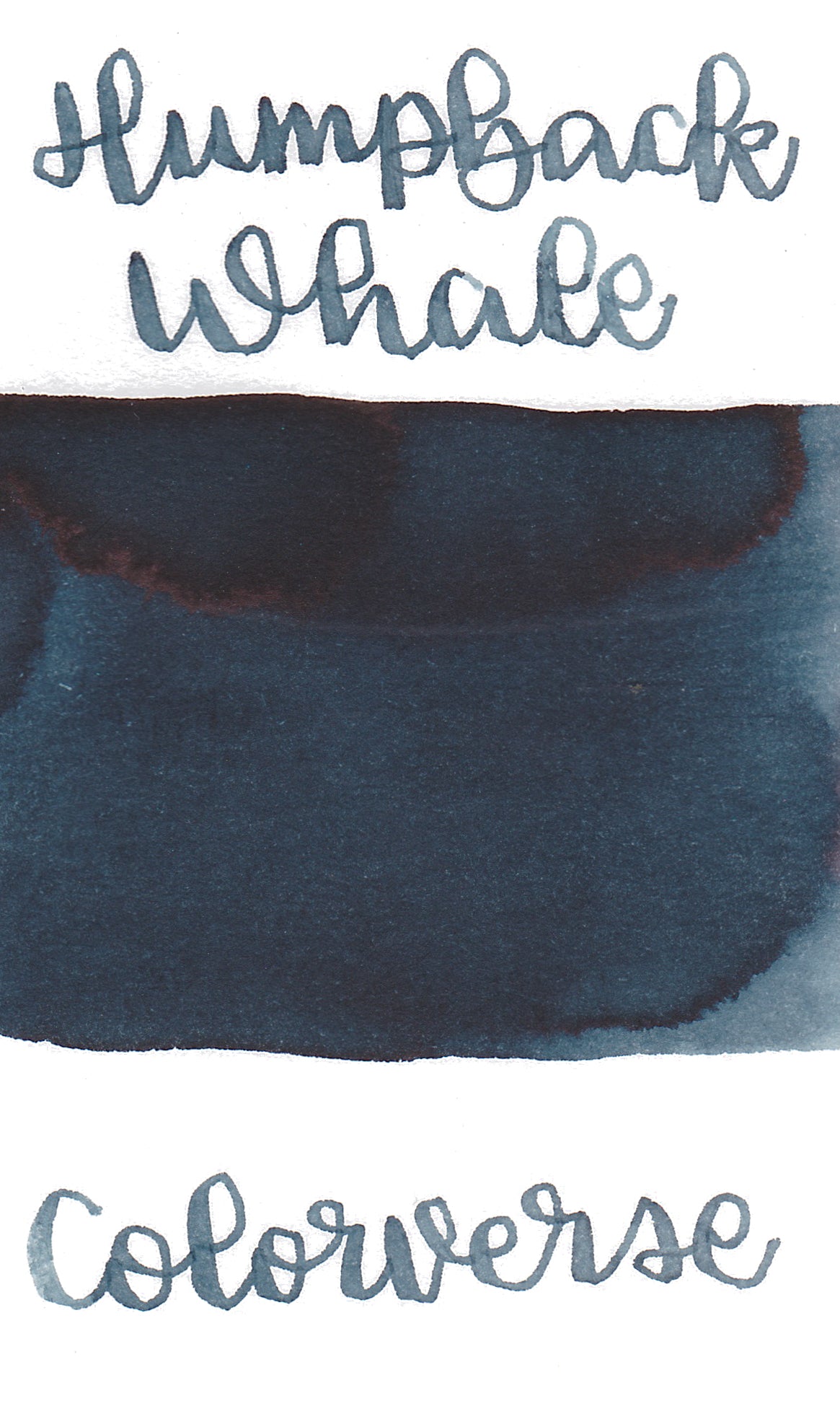 Colorverse Korea Special Series Ink - #55 Humpback Whale