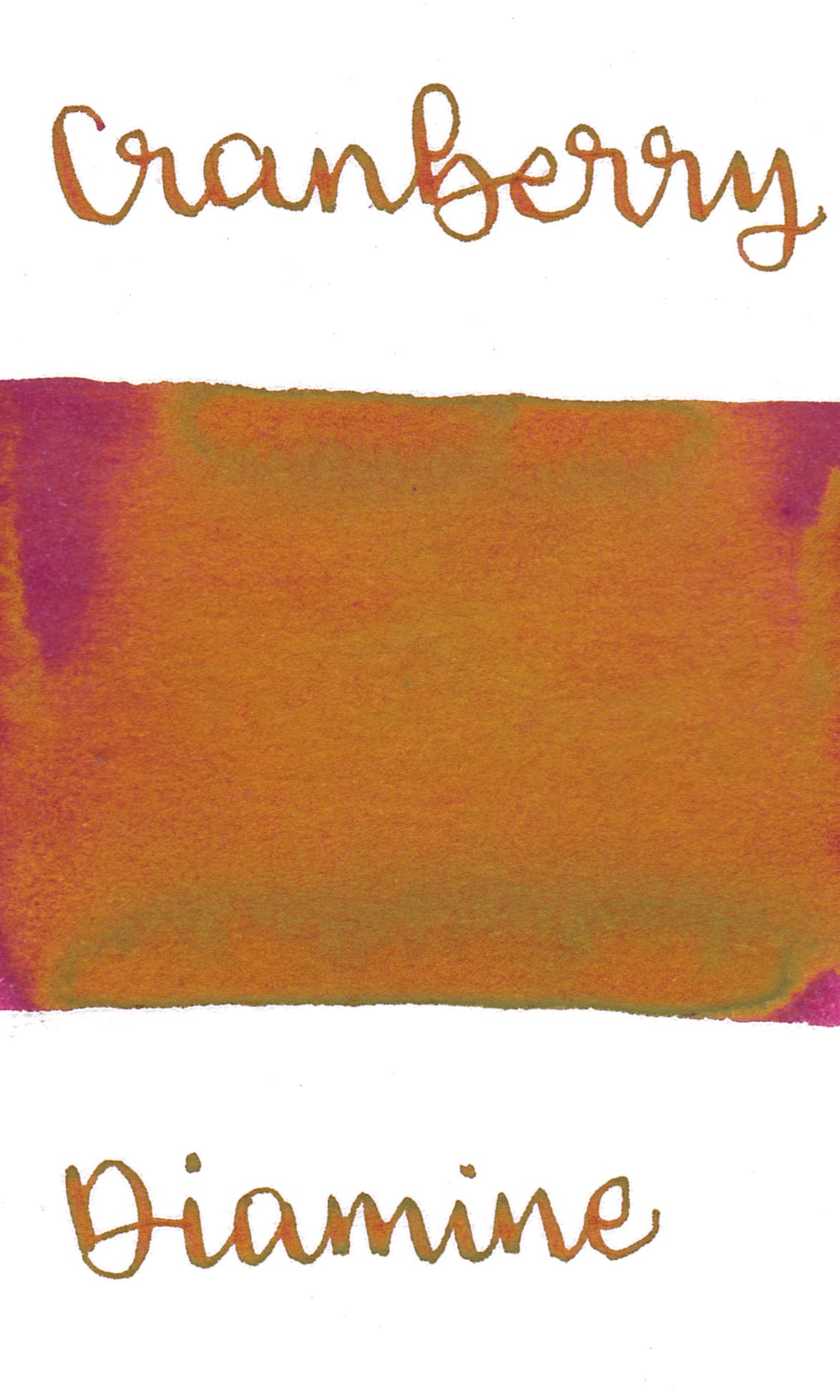 Diamine Black Edition - Cranberry Sheening Ink