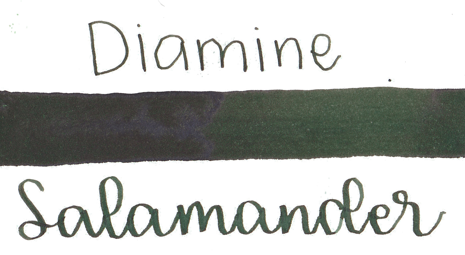 Diamine - Salamander