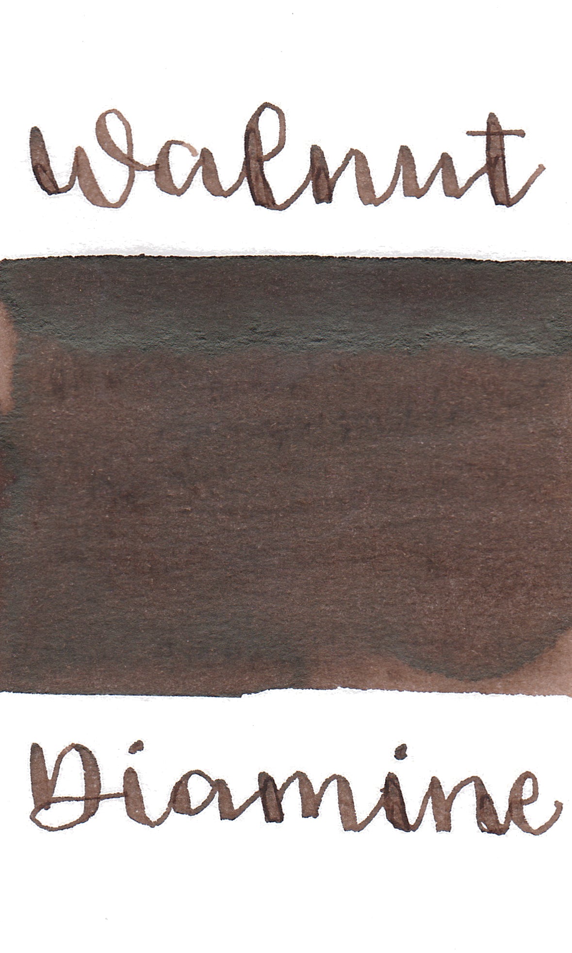 Diamine Purple Edition - Standard Walnut