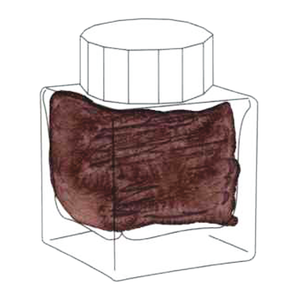 Diamine Teal Edition - Antler