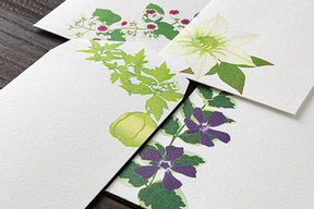 Midori Envelopes 170 Four Designs Summer Flowers