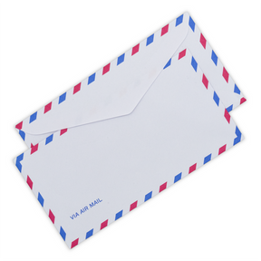 Fujitsubo Airmail Envelopes - B5