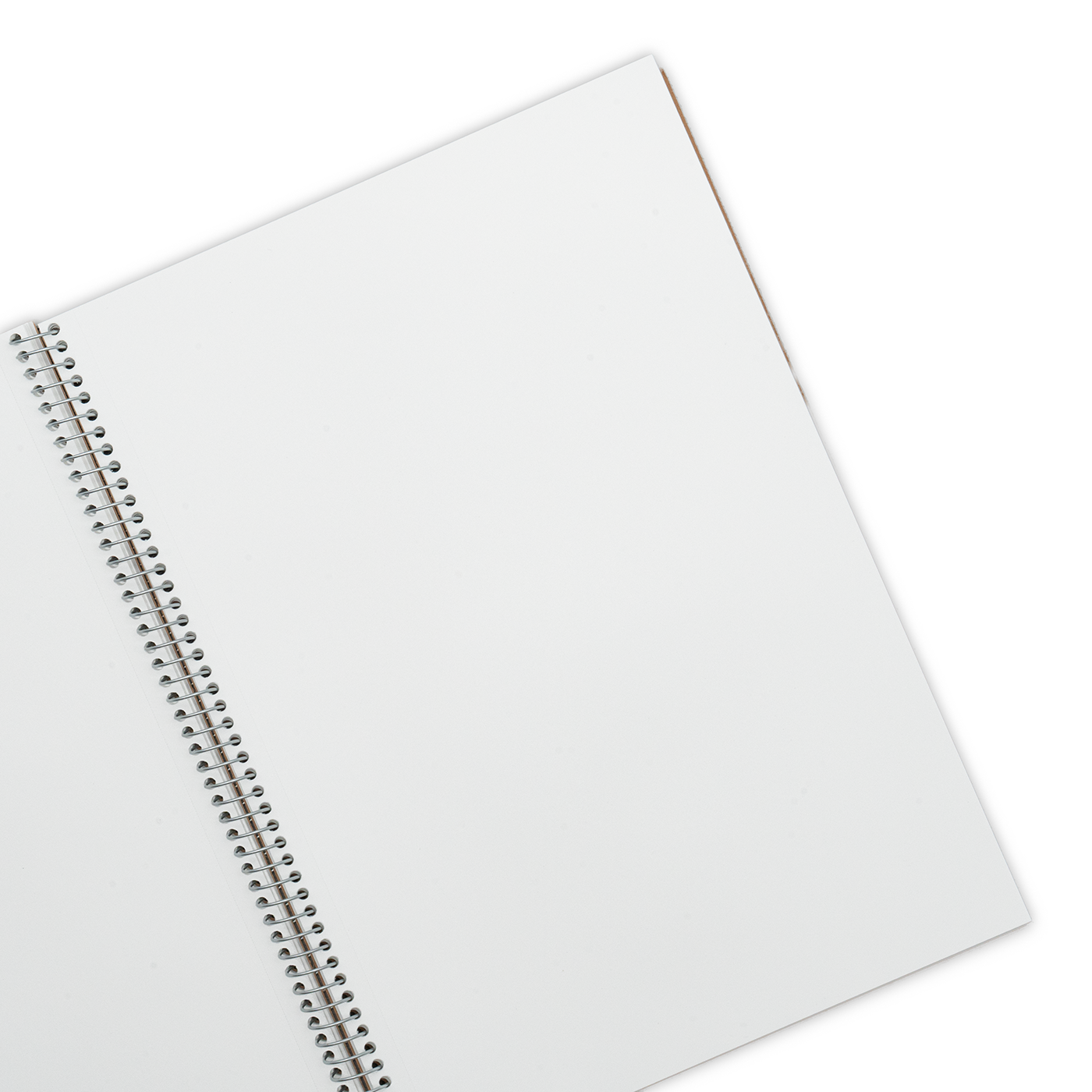 Maruman Notebooks B5 Spiral Note - Blank