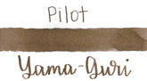 Pilot Iroshizuku Yama-Guri Ink