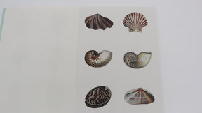 Pepin Label, Sticker & Tape Book - Marine