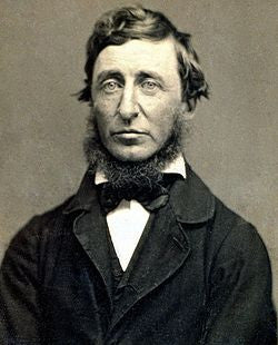 Organics Studio Henry David Thoreau Walden Pond Blue