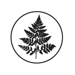 Freund Mayer Brass Wax Seal No Handle - Fern Leaf