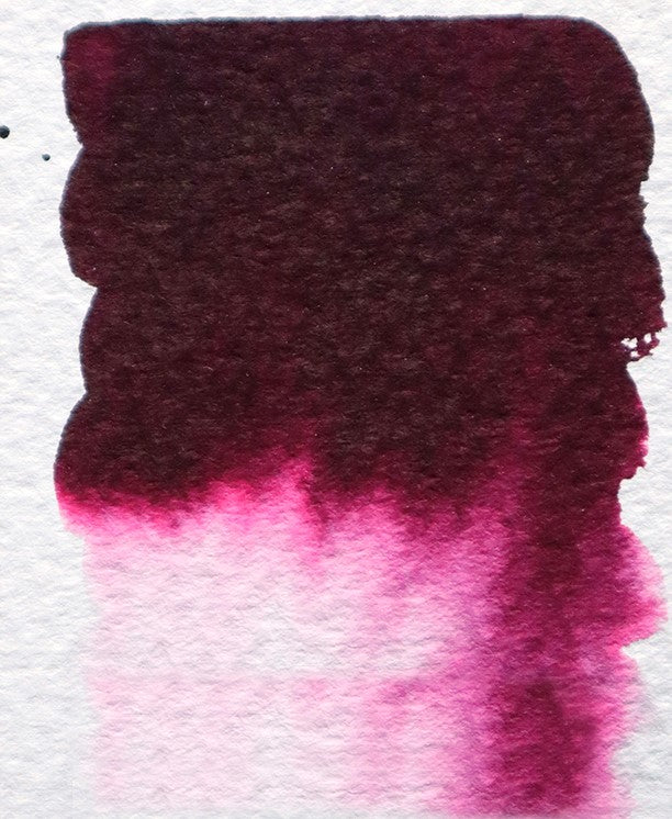 Diamine Reddit Ink Project - Writer's Blood