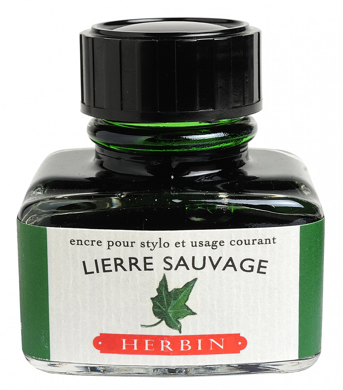 Jacques Herbin Lierre Sauvage
