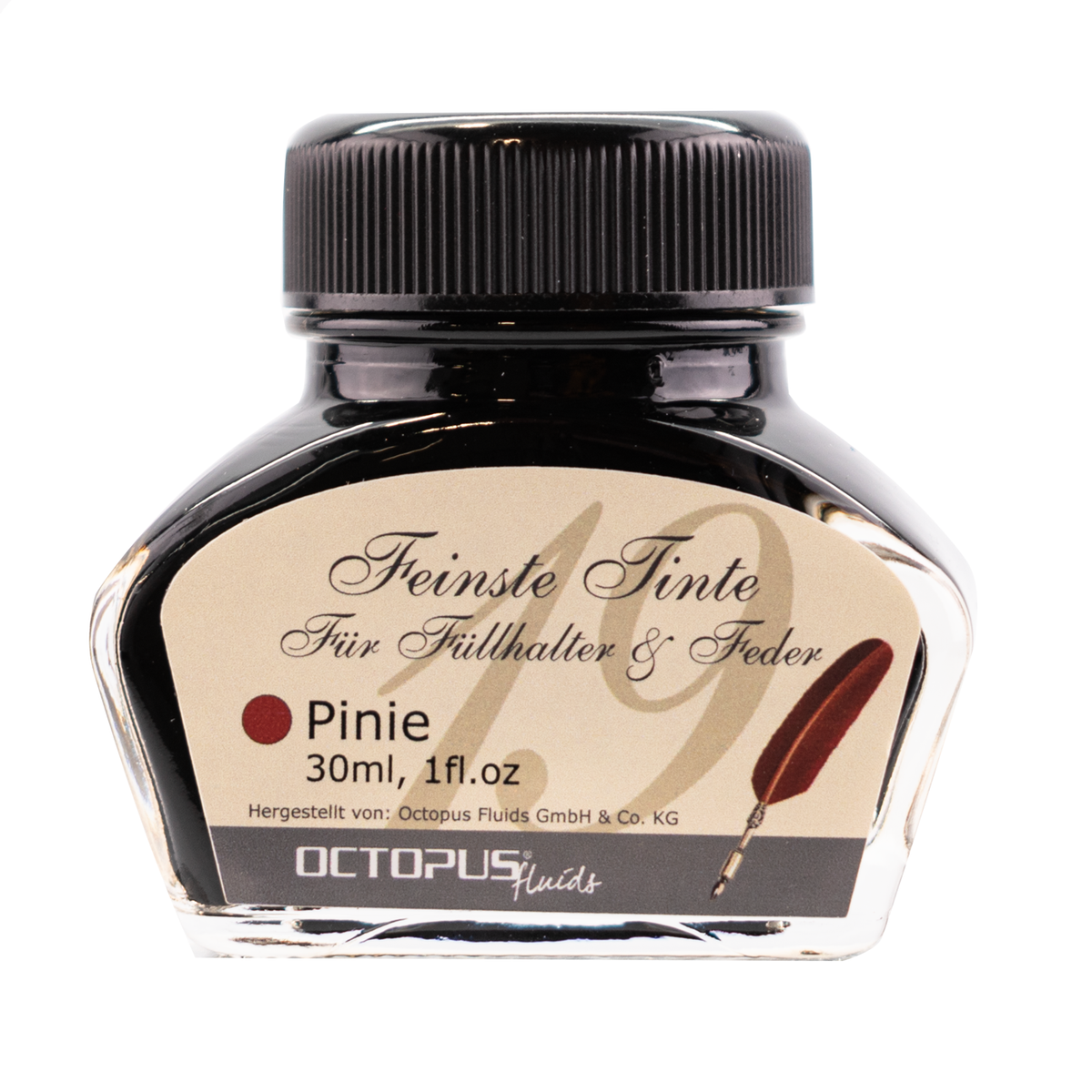 Octopus Pinie (Pine)