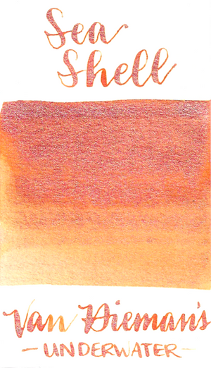 Van Dieman's Underwater Series - Sea Shell Shimmer
