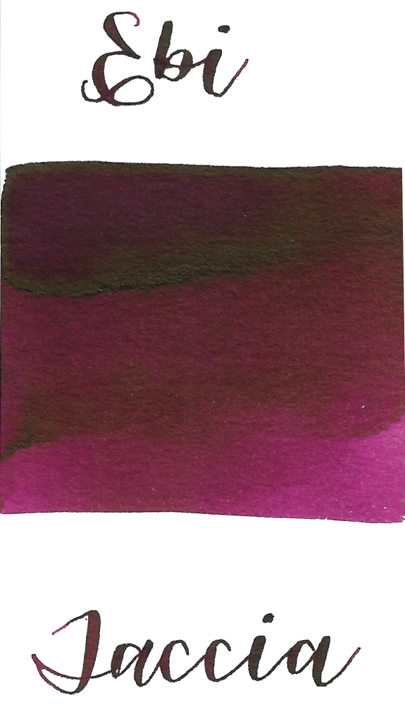 Taccia - Ebi Purple Red