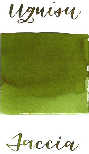 Taccia - Uguisu Olive Green