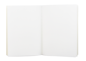 TRAVELER'S COMPANY 005 Passport Sized Refill - Blank Paper