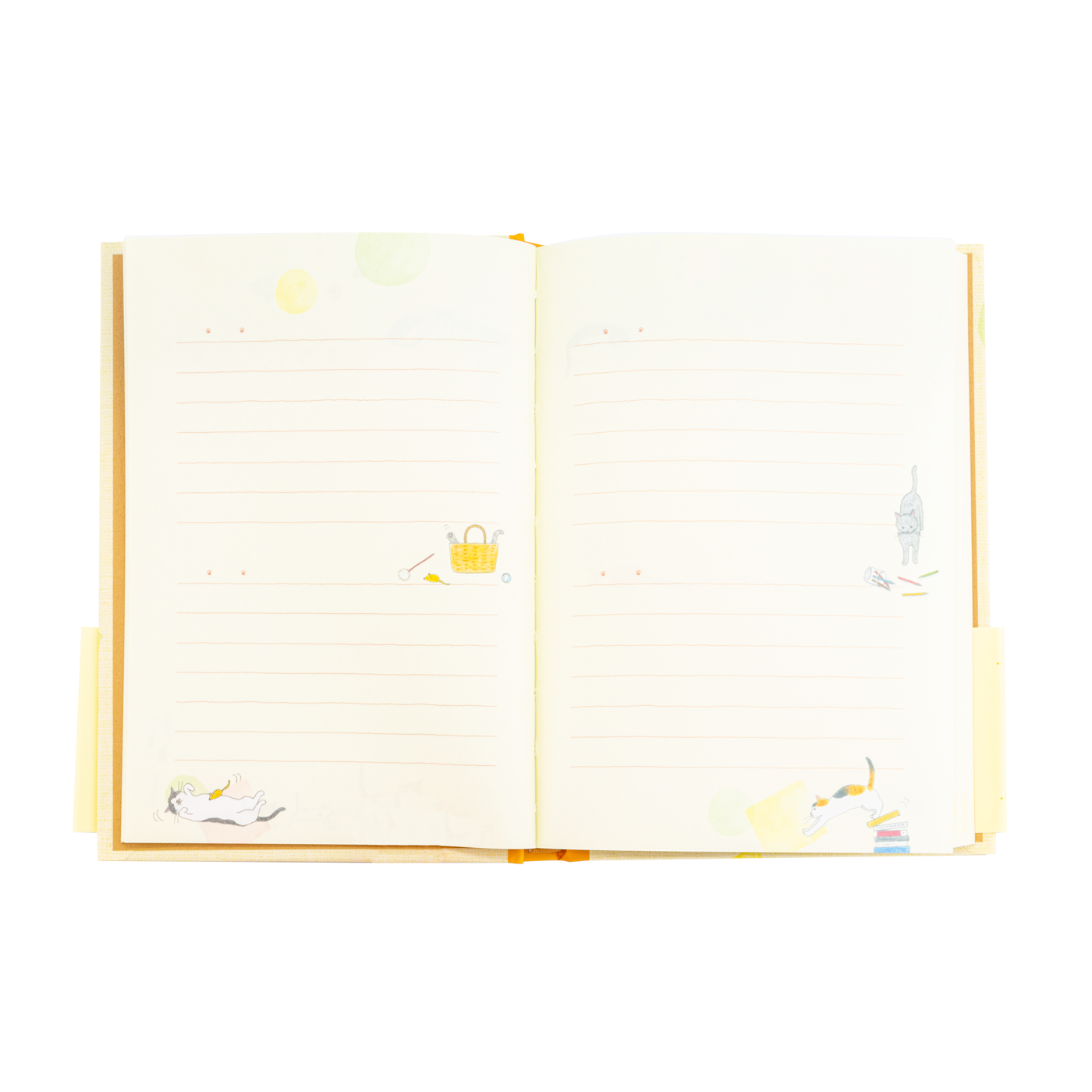 Midori Diary Cat