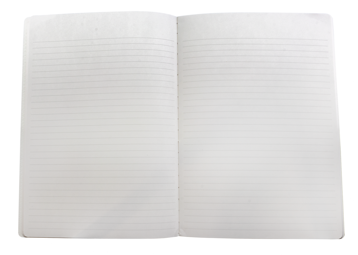Stalogy 016 Notebook- Green Cover