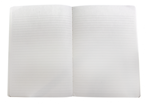 Stalogy 016 Notebook- Green Cover